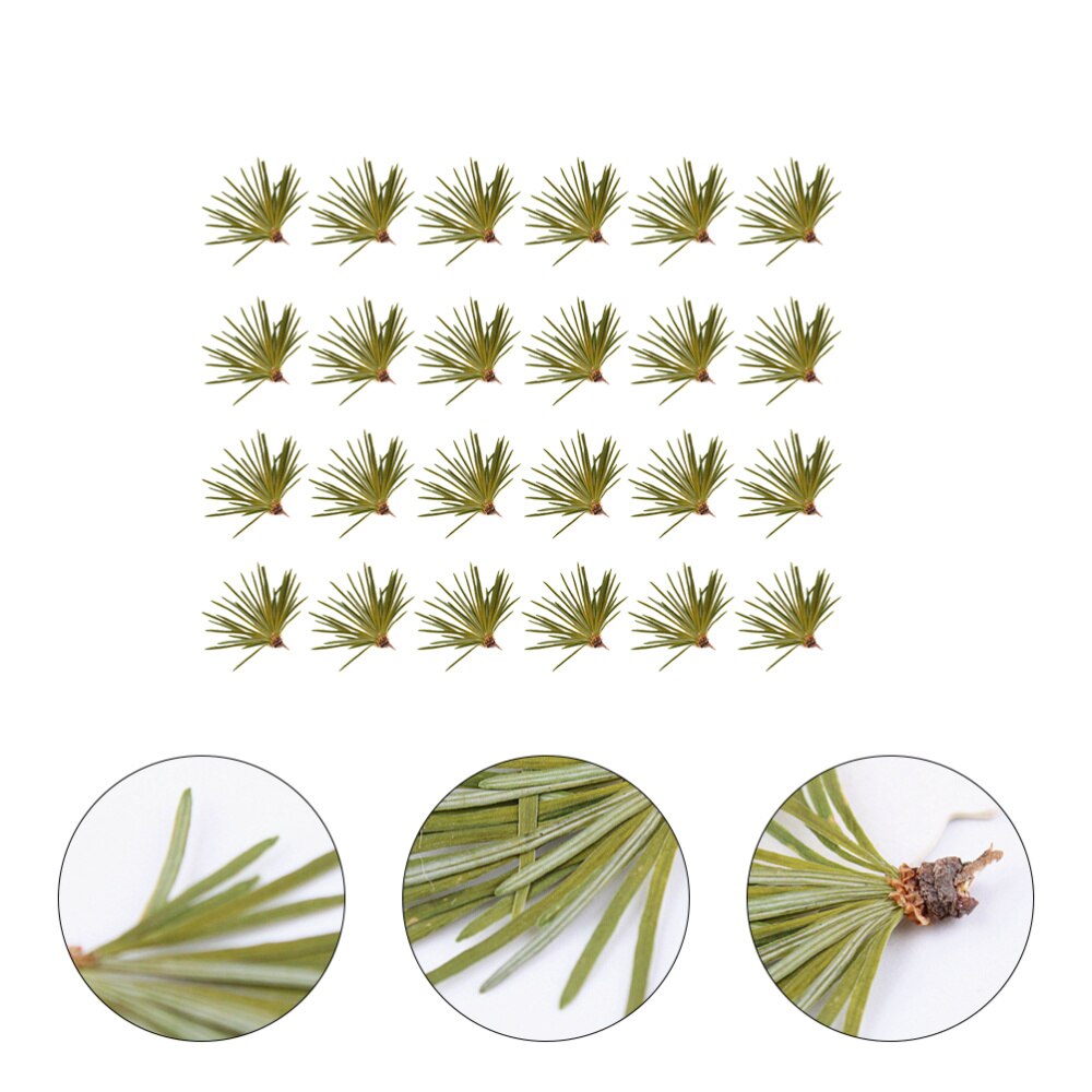 24Pcs Mooie Natuurlijke Groene Plant Sample Dennennaalden Bladeren Diy Ambachten Handgemaakte Accessoires Voor Hetel Telefoon Case Home