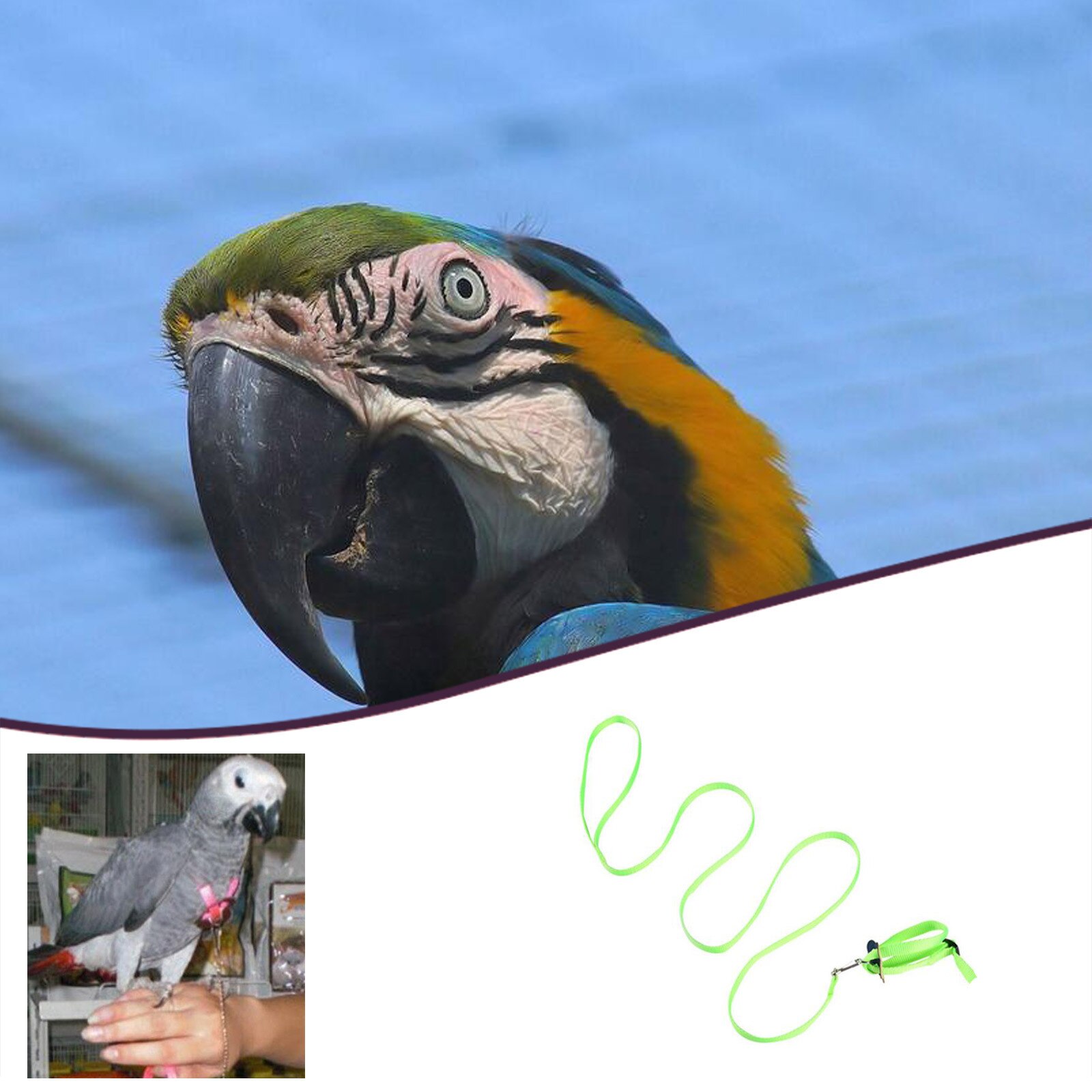 Leash Voor Vogels Papegaaien Verstelbare Anti-Bite Veelkleurige Licht Zachte Undefined Woondecoratie Tool Accessoires