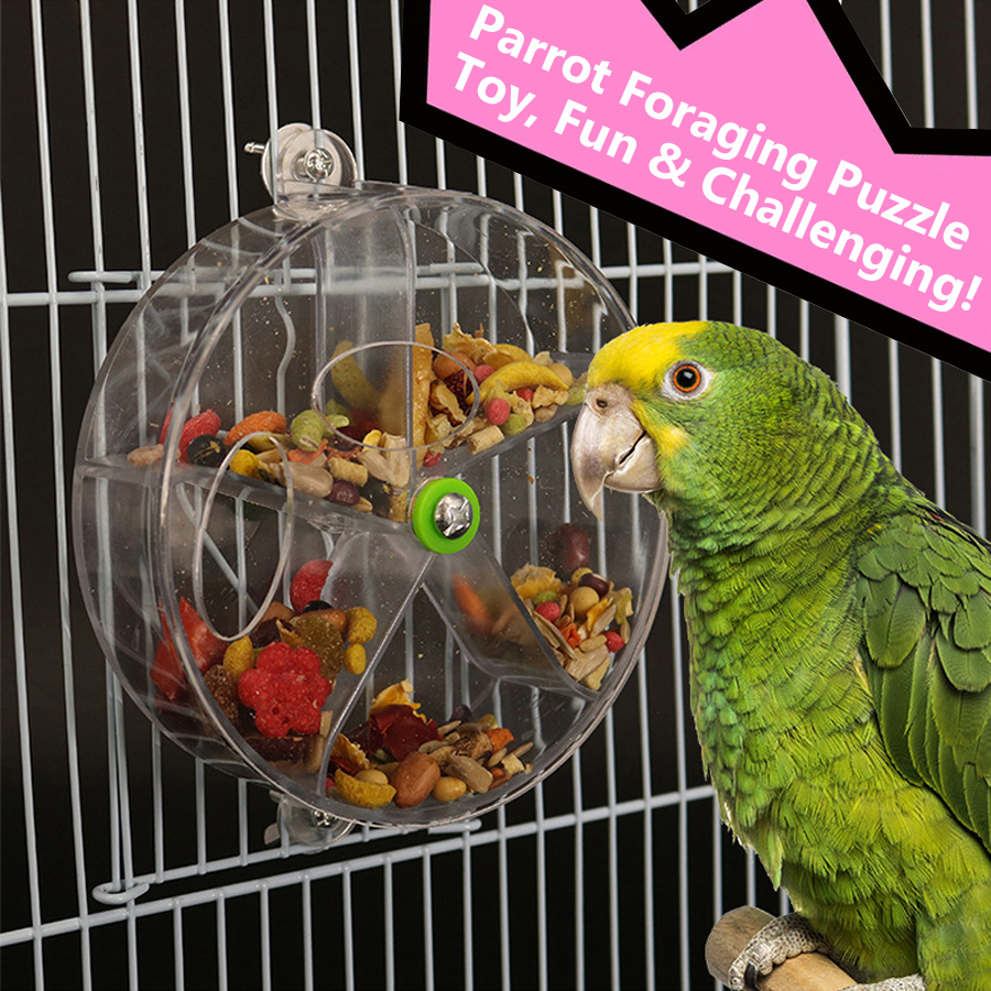 Roues de jouets pour perroquets rotatifs pour animaux de compagnie, morsure à mâcher pour oiseaux, boîte de nourriture de recherche, mangeoire à Cage, accessoires pour oiseaux
