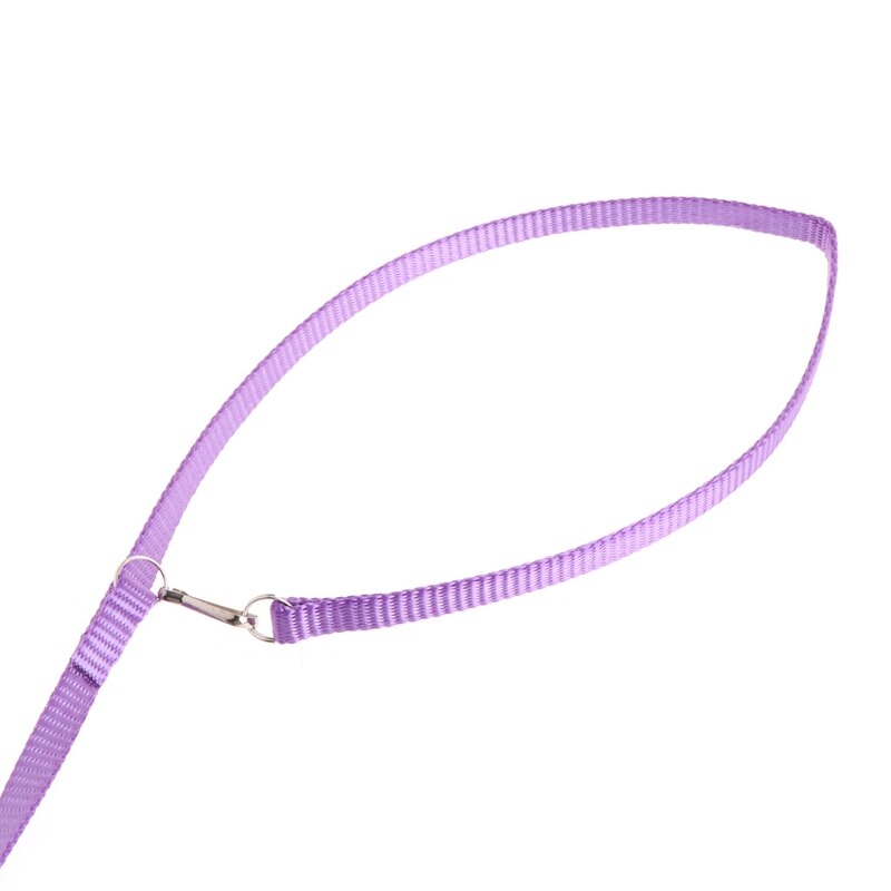 Papegaai vogelriem buiten verstelbaar harnas trainingstouw anti-bijtband