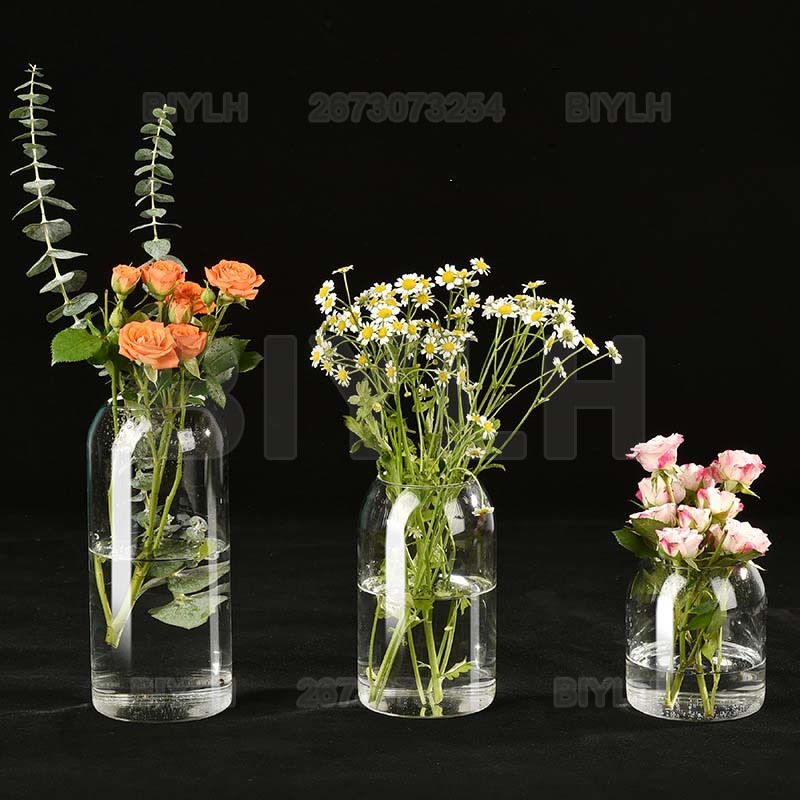 Vase à fleurs en verre pour plantes hydroponiques créatives, bouteille moderne et Simple, pour centres de table, bureau, maison, salle à manger, mariage, mariage moderne