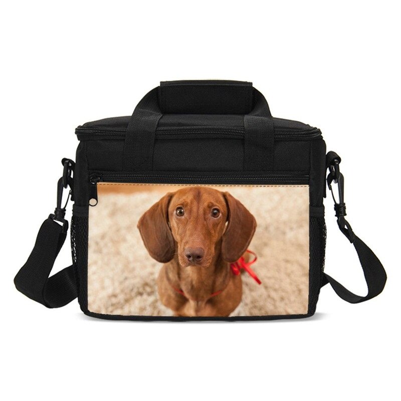 Animal Print Dachshund Sausage Dog Kawaii Kids Cooler Bag Picnic Outside Insulated Box Women Portable Lancheira Thermo Thermal: SCBU019001GYU