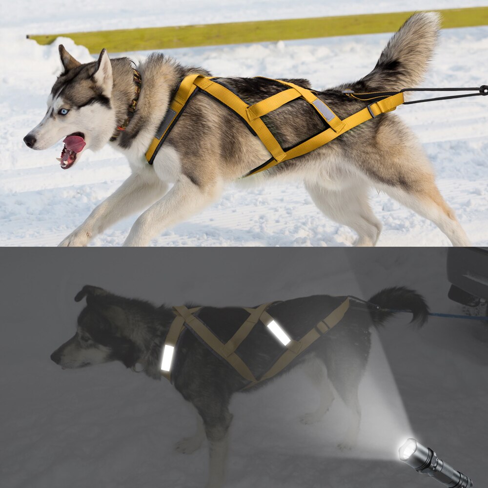 Waterdichte Hond Slee Trekken Harnas Huisdier Mushing Harness Voor Grote Honden Husky Huisdier Oefening Bikejoring Rodelen Skijoring Harnas