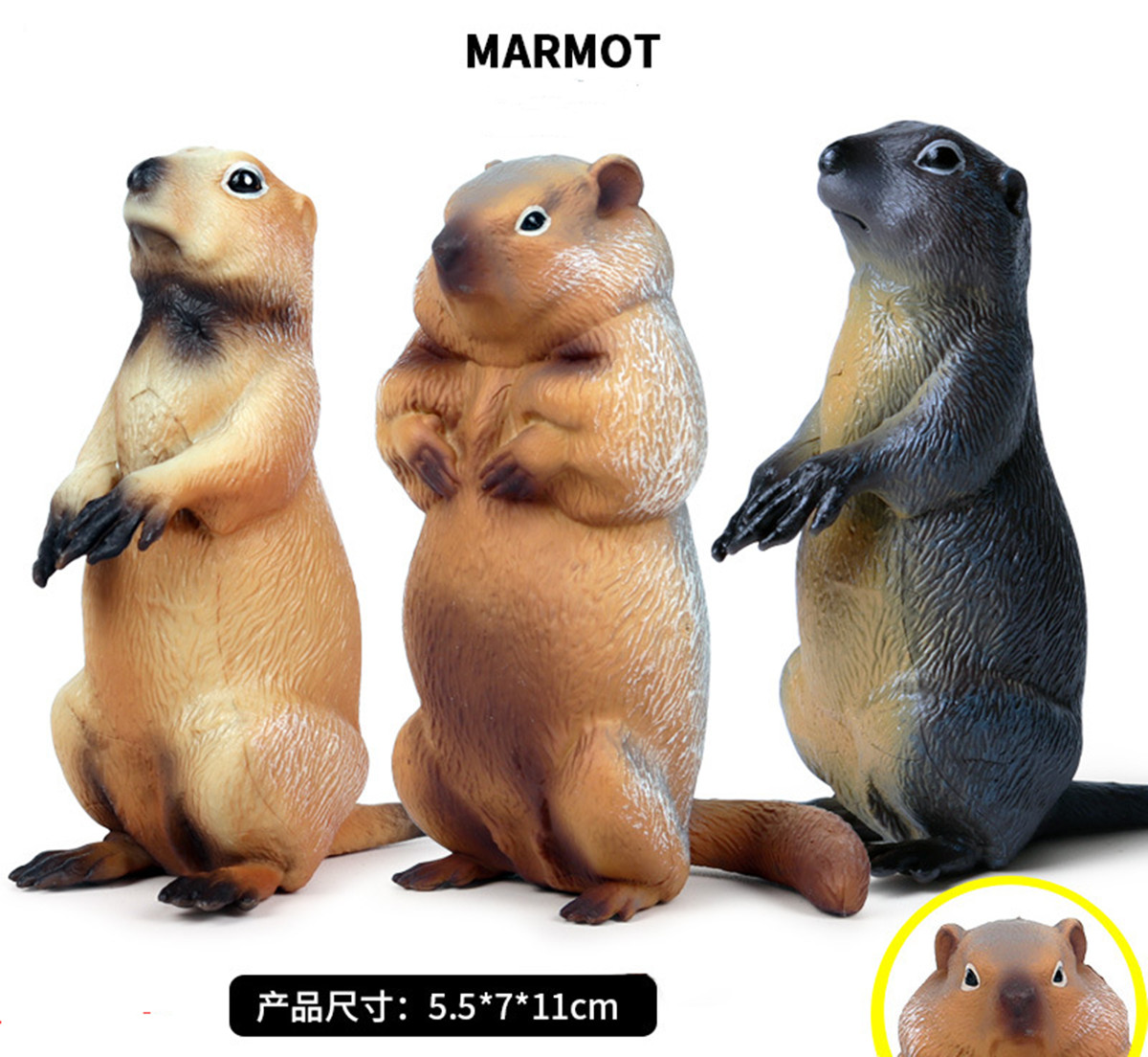 Simulatie Marmot Prairie Hond Muis Eekhoorn Chipmunk Figuur Dier Collector Kid Decor Speelgoed Model Speelgoed Voor Kinderen