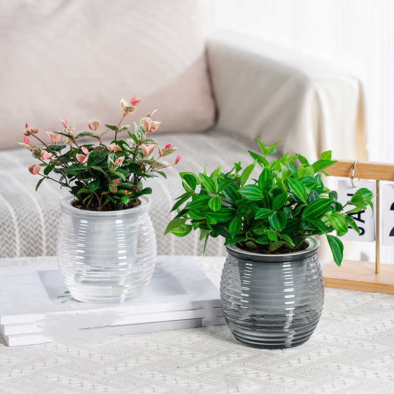 Selbst Bewässerung Blumentopf Aquarium Transparente Kunststoff Blumentöpfe Mini Selbst Bewässerung Pflanzer Topf Vase Für Heimat Dekoration