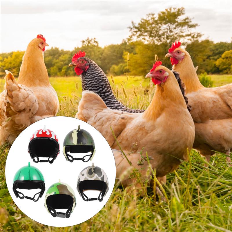 5 stk sjov kyllinghjelm kyllingefugle hovedbeskyttelse hjelm hovedbeklædning