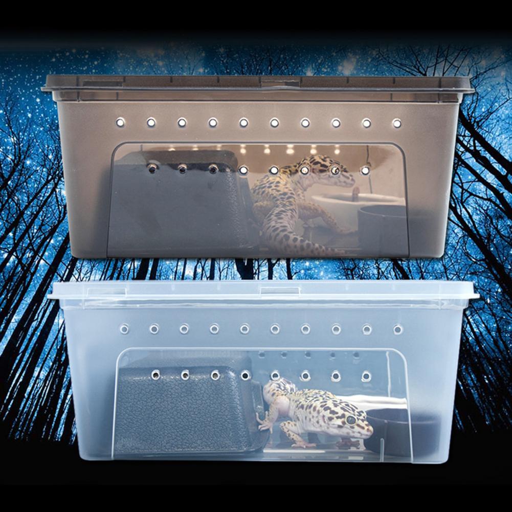 Popular Feeding Box Excellent Clarity Plastic Hatching Box Breeding Box Case for Snake Breeding Box