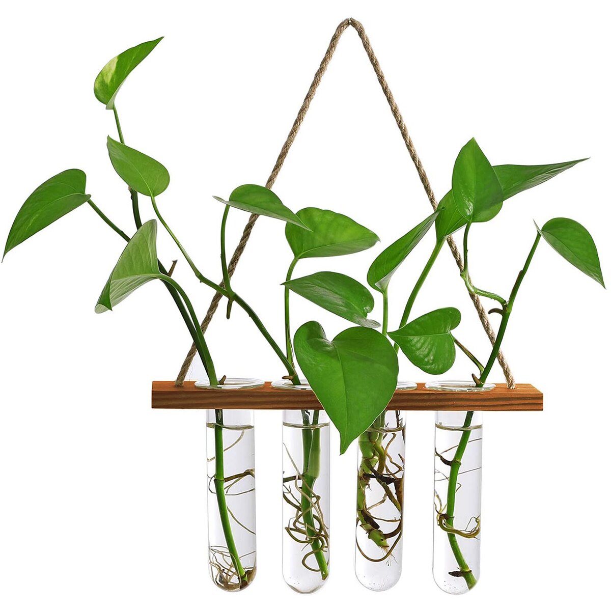Ins – jardinière murale en verre, Terrarium, Vase avec support de Tube à essai en bois pour la Propagation de plantes hydroponiques: Single layer Retro