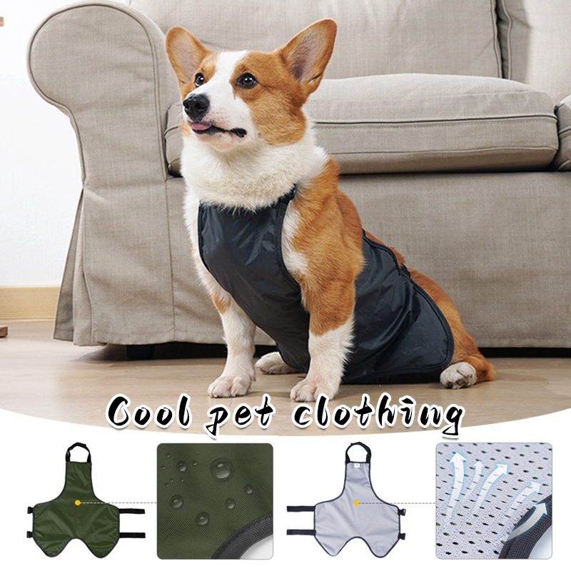 Carlin Corgi animal de compagnie chien Bellyband vêtements imperméable respirant Anti ventre couverture bavoir poche chien Costume Corgi Bellyband gilet