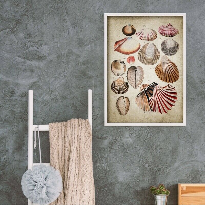 Cuadro de pared biológico de concha de estrella de mar, Retro océano, pintura Vintage, póster de papel Kraft
