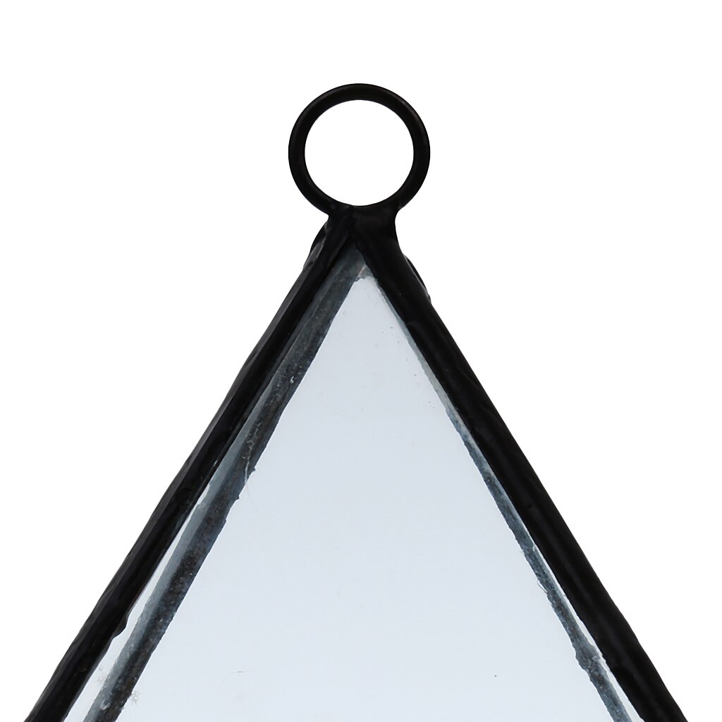 Glass Succulent Terrarium Box Air Plant Fern Moss Display Case Indoor Outdoor