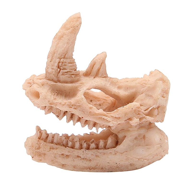 1 stk drage harpiks akvarium/terrarie dekoration krokodille kranie til akvarium harpiks ornament dekorere dit akvarium: 4.2 x 2.2 x4.8 cm