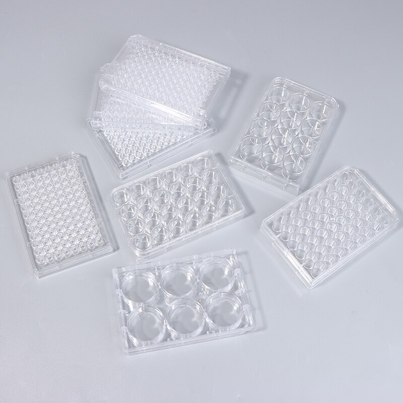 6/12/24/48/96 hole Disposable Cell Culture Plate Bacterial Culture Plate