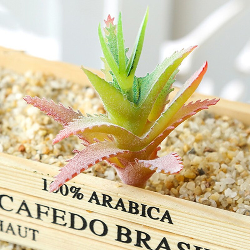 1Pc Groen Paars Rood Massaal Kunstmatige Vetplanten Planten Tuin Decoratie Bloemstuk Badkamer Accessoires Plant: Style66