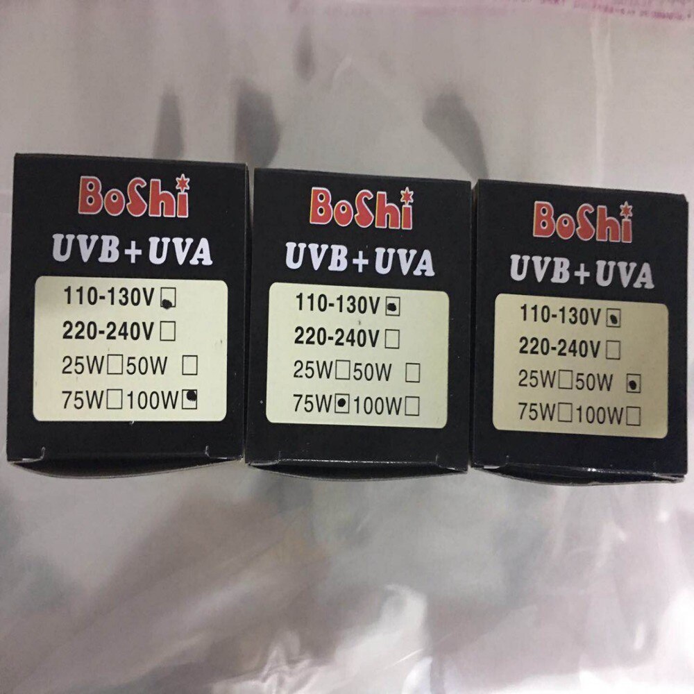 Reptiel Lamp Set Lamp Clip-On Lamp Lamp Houder Thermometer Hygrometer Schildpad Schildpadden Koesteren Lamp Warmte Licht Kit