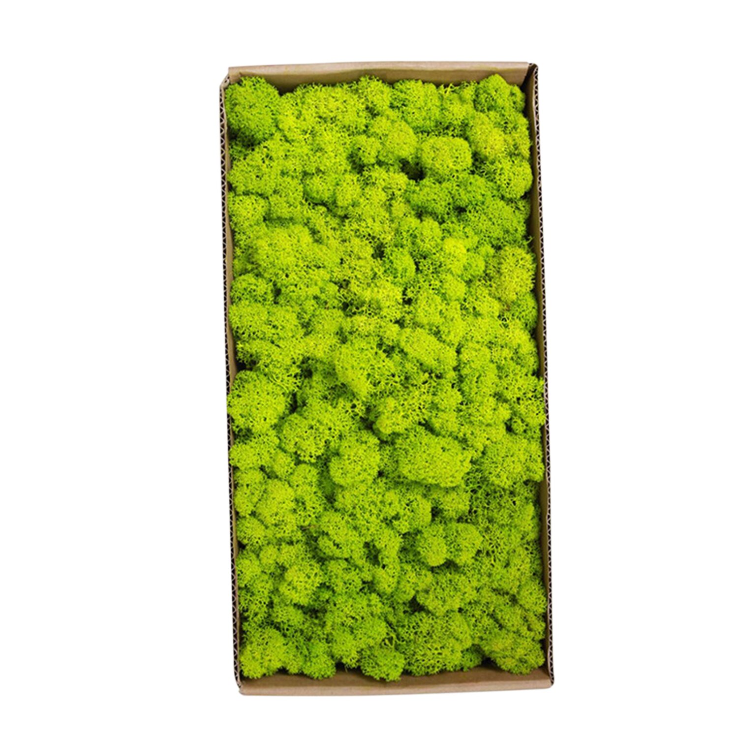 Preserved Moss Wall Decor Real Preserved Moss No Maintenance Required Naturally Preserved Moss Home Wall Party Festivals Crafts: Type 7