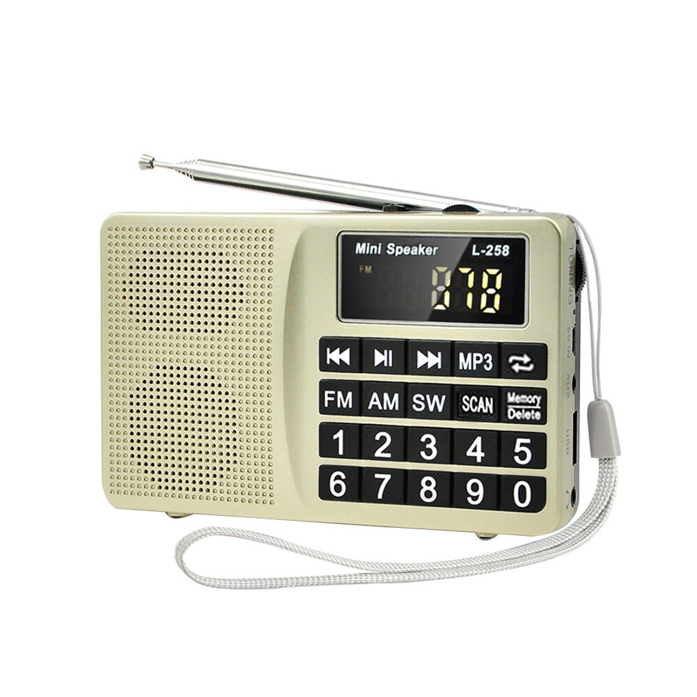 Multiband MP3 Speaker Insert Card Radio Large Button Portable Mini Bass Easy Operate SW FM AM Digital Display USB Charging