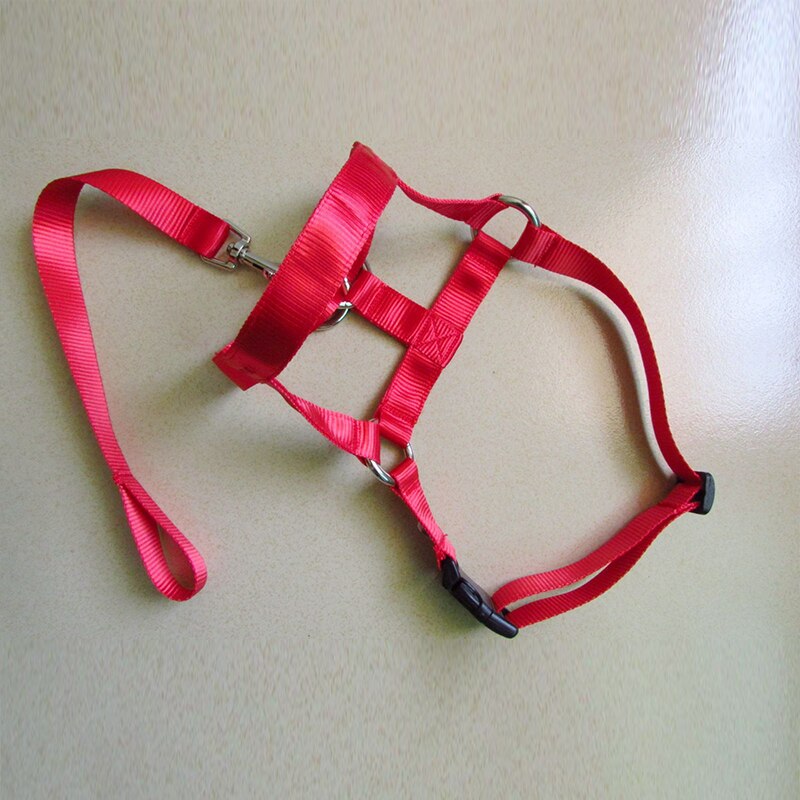 Collar de cabeza de entrenamiento con cuello Halter para perro, arnés de poliéster con cuello Halter, , ideal para cualquier temporada: Rojo / XXL