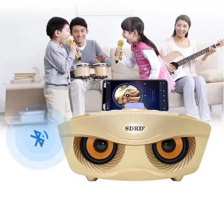 SD306 Dual Draadloze Microfoon Bluetooth-Compatibel Luidspreker Mobiele Draadloze Karaoke Speaker Draadloze Stereo Speaker Set