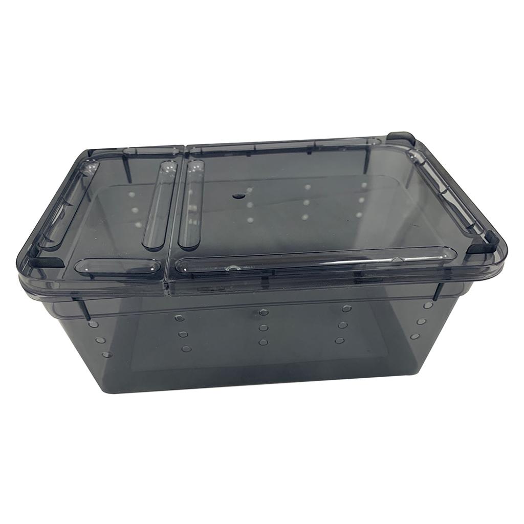 Reptile Water Feeding Box Turtle Spiders Hatching Cage For Terrarium Spiders