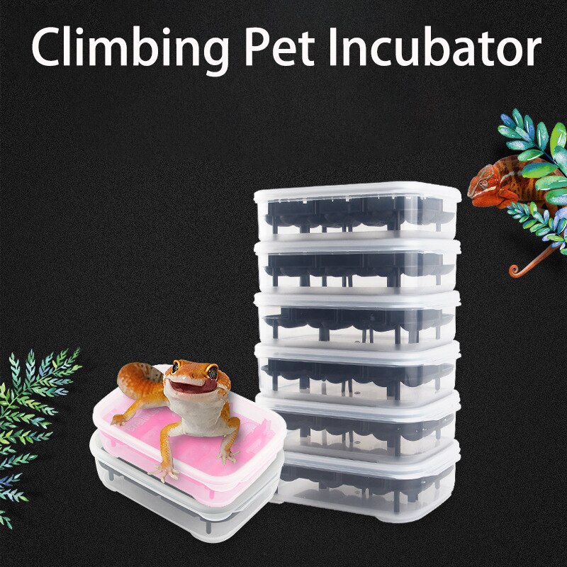 Climbing Pet Breeding Lizard Gecko Incubator Large Volume Transparent Reptile Incubator Plastic Incubator
