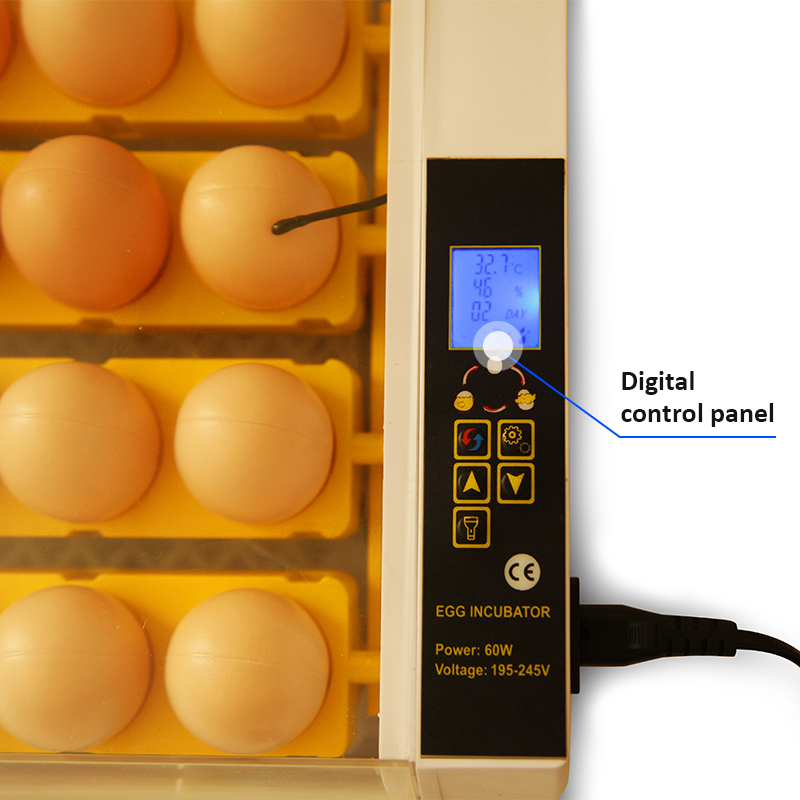 Couveuse d&#39;œufs intelligente HHD 2, incubateur d&#39;œufs Transparenment autique à lumière LED, couveuse pour poules, cailles et oies