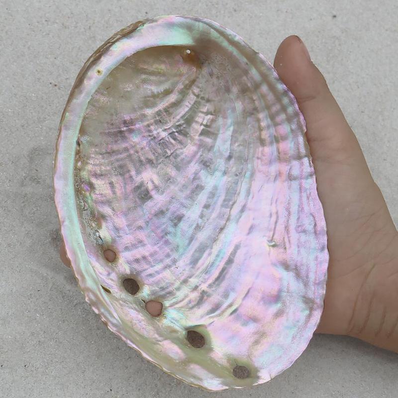 Abalone Shell Nautical Decor Seashell Beach Wedding Soap Shell Diy Shells Jewelry Decor Aquarium Decor Ocean Dish Home L4G9