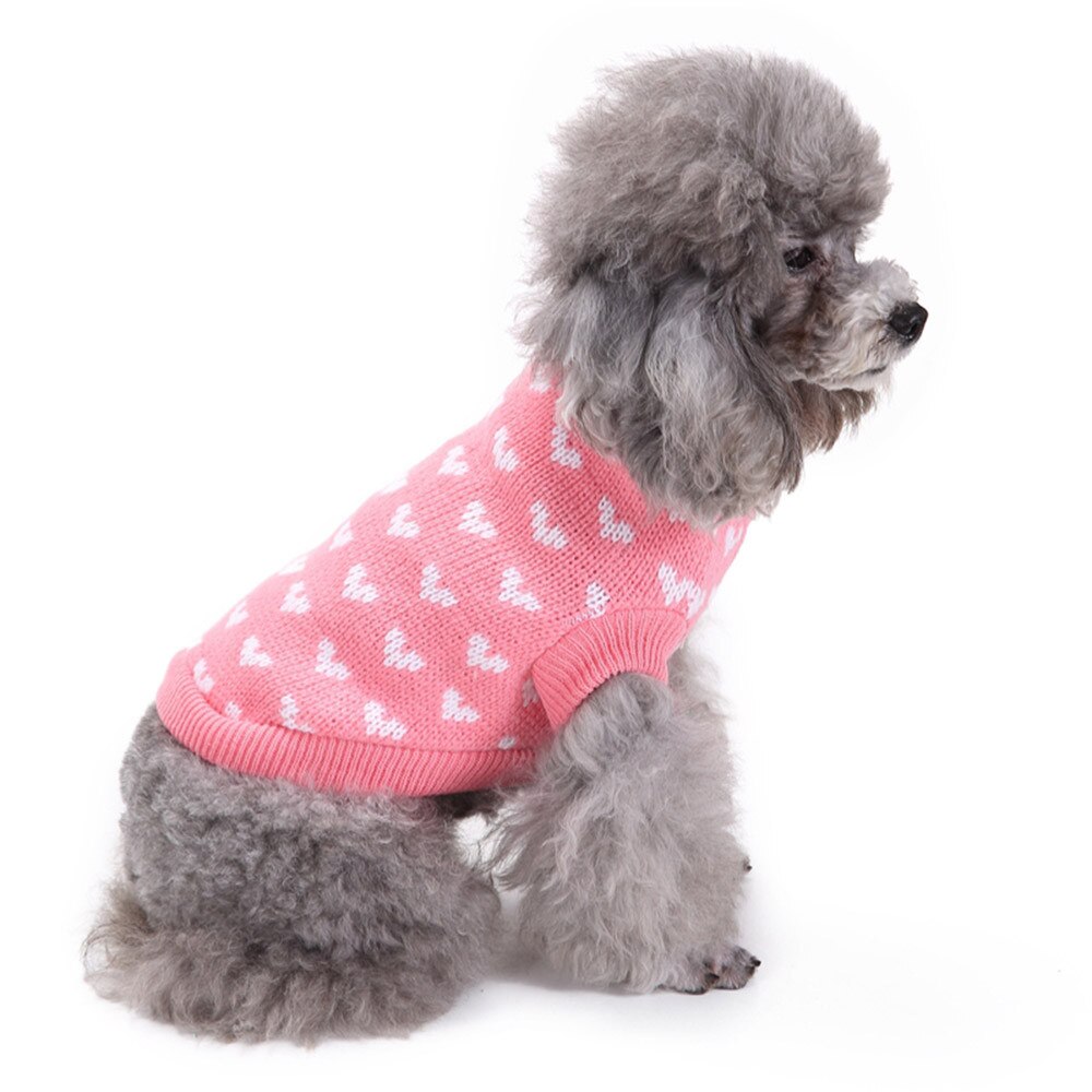 SMALL DOG - Soft Pink Polo Knit Neck Sweater main image 1