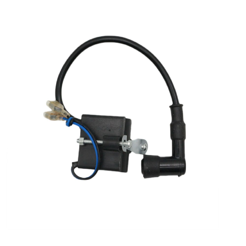 2-stroke Engine Electric Bicycle Motorcycle Parts Suitable for Refitting 49cc 50cc 66cc 80cc and Meet DIY Needs