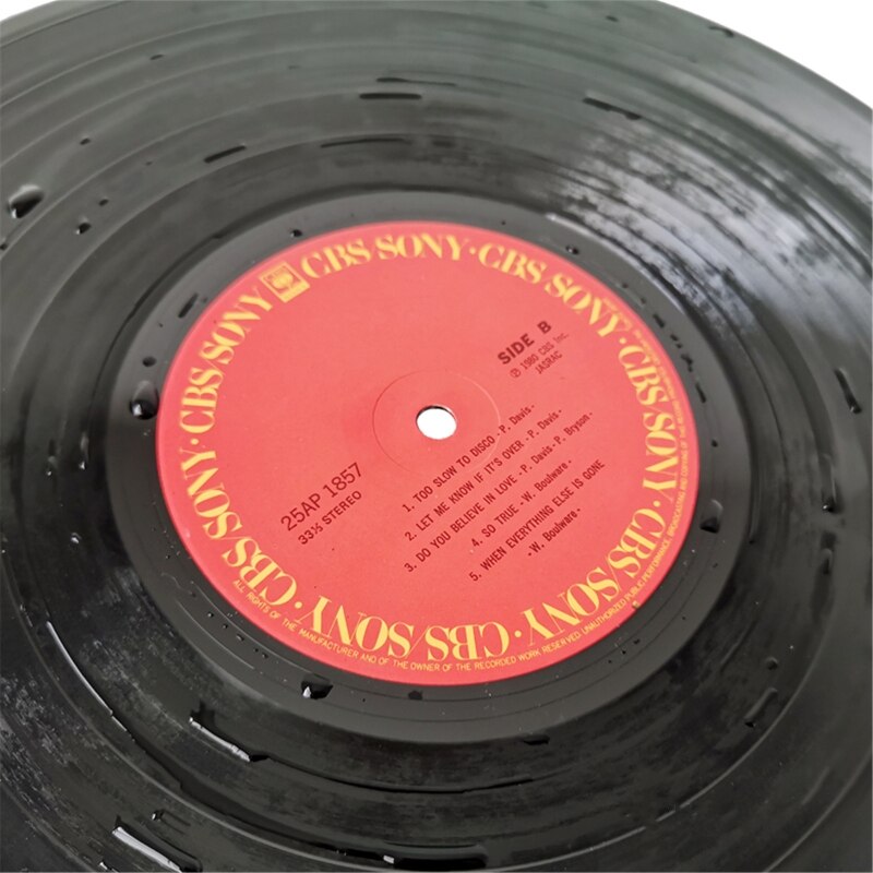 LP-Abrazadera para limpiador de discos de vinilo, mango de aluminio, Protector de etiquetas de registro, herramienta de limpieza acrílica impermeable