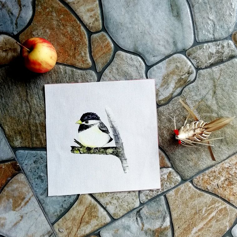 Tela de algodón con de pájaros para costura, retazos, manualidades para ropa, delantal, decoración, parches de tejido, 15x15cm: 4