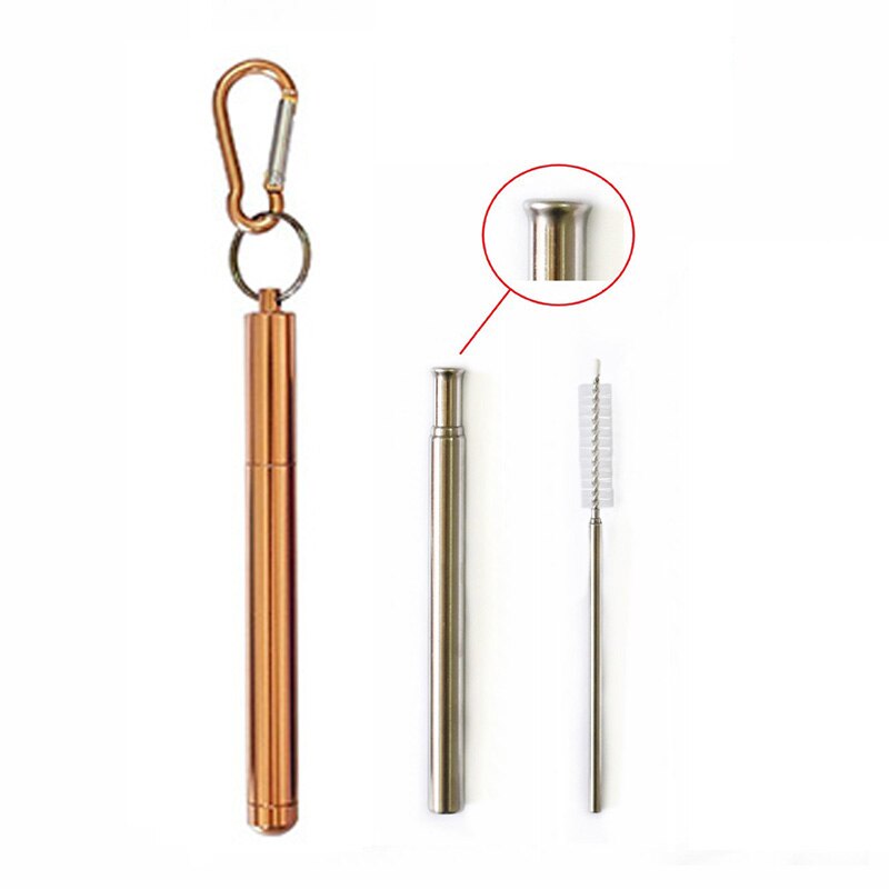 Collapsible Reusable Straw Portable Stainless Steel Telescopic Metal Drinking with Case and Brush for Travel Outdoor: Champagne Gold