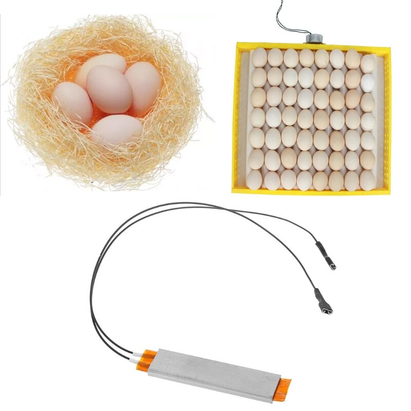 Opvarmningsinkubator varmelegeme plade til æg inkubator tilbehør 110v