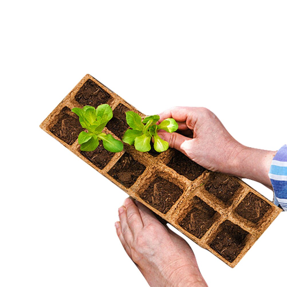 12-- gats pulp zaailingbak wegwerp kweekbak afbreekbare tuinplanter zaailingbak