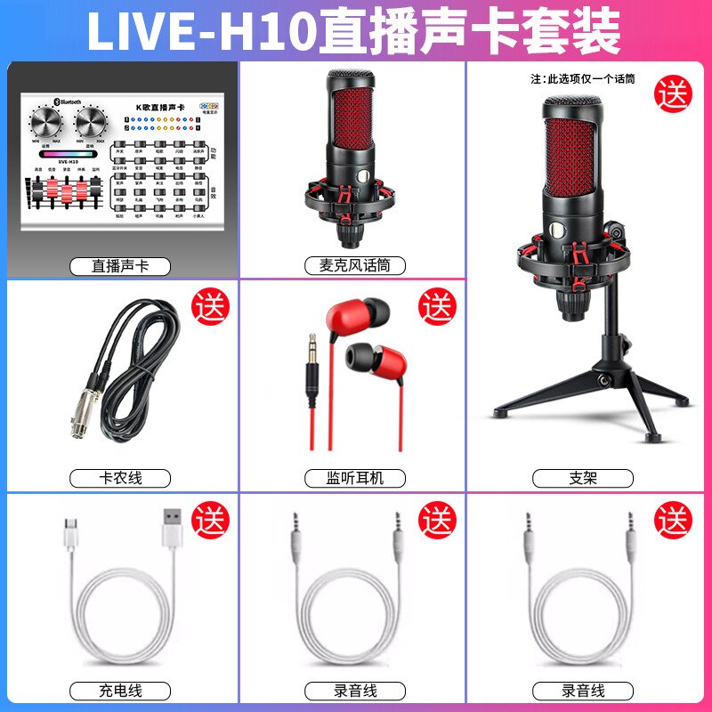 H10 del Suono Dal Vivo Insieme di Carta Del Telefono Mobile Del Microfono Del Computer Boccaglio di Ancoraggio Chiamata di Grano Apparecchi di Registrazione per Tutti I K Canzone Utile: Official Standard  H10 Sound Card   Barley Head   Headset   Tripod