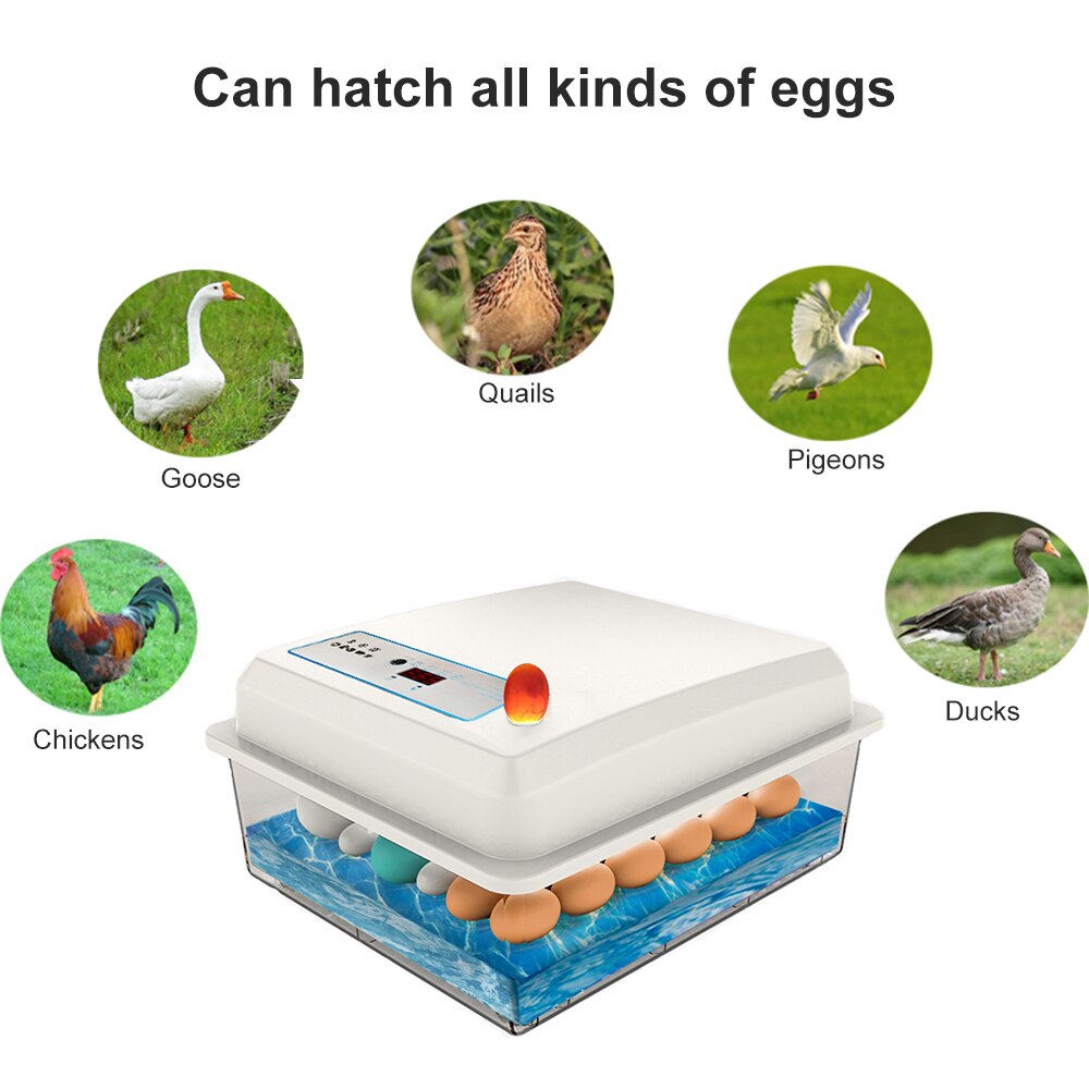 20-50 eggs household incubator small plastic bionic water bed incubator automatic temperature control egg incubator 220V US-plug