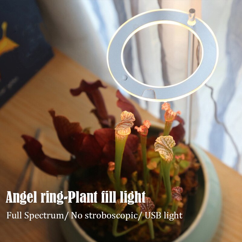 Usb engel ring phytolamp til planter led lampe fuld-spektrum sol-lignende indendørs husstand blomst vokse lys