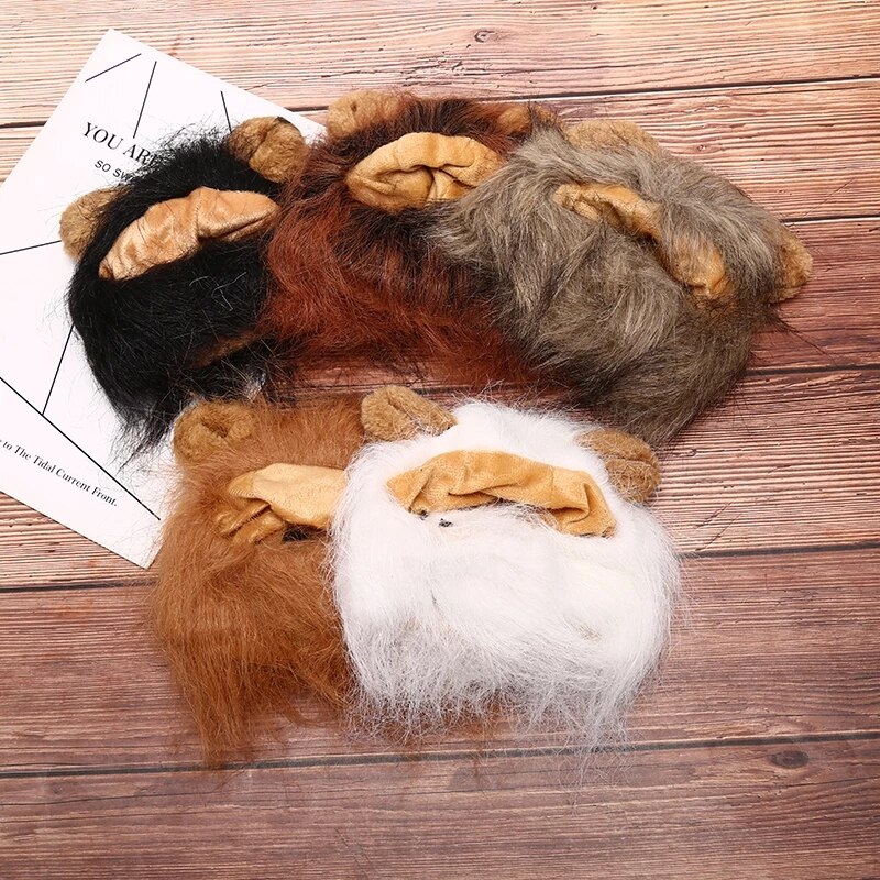 Costume de Lion pour chien sauvage Golden Retriever, chapeau, collier, couvre-chef, accessoires de Photo pour animaux de compagnie
