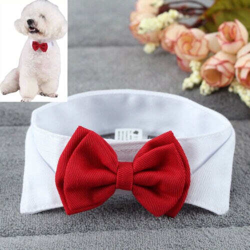 Mode Verstelbare Bow Tie-Kraag Stropdas Strik Kleding Voor Puppy Pet Hond Kat Hond Strikje Hond kraag Formele Gelegenheid