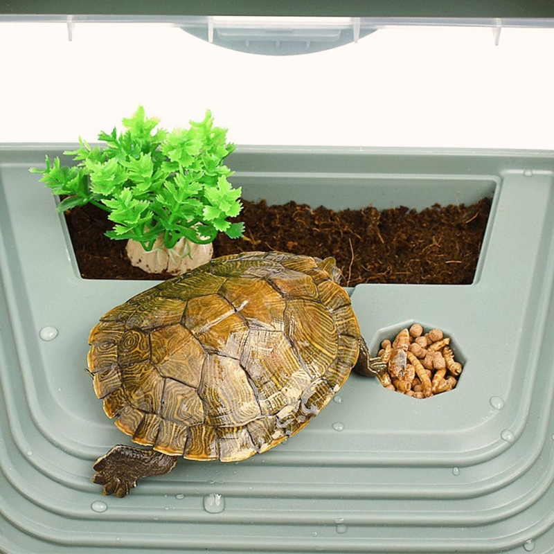 Reptile Habitat Turtle Tank Plastic Aquarium Amphibian Pet Terrarium Escape Proof with Platform Slope and Swimming Pool