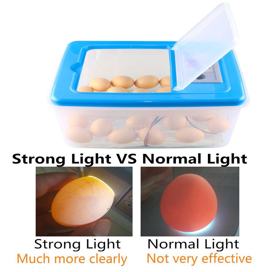 Mini 32 Egg Incubator Poultry Incubator Brooder Digital Temperature Hatchery Egg Incubator Hatcher Chicken Duck Bird Pigeon