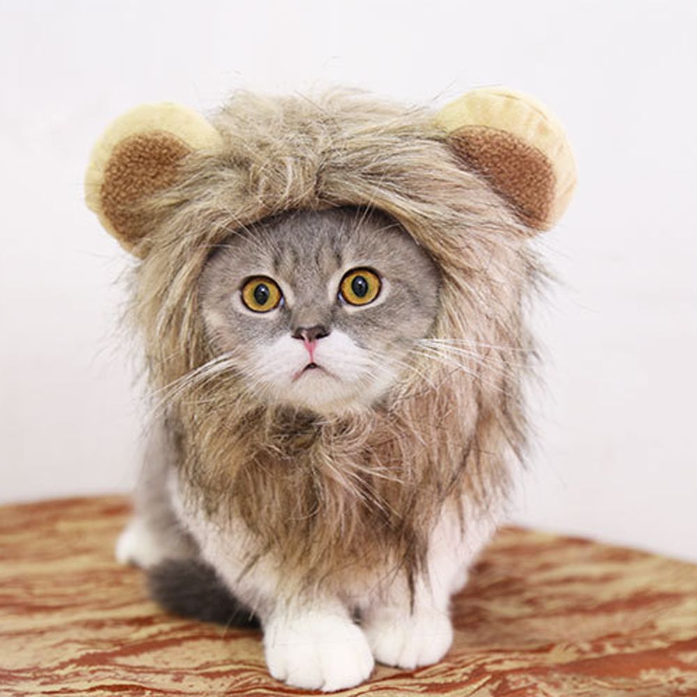 Sombrero para mascotas disfraz de gato Cosplay de León Peluca de crin gorro que cubre las orejas gatito vestido ajustable hasta el sombrero Halloween otoño suministros de invierno para animales