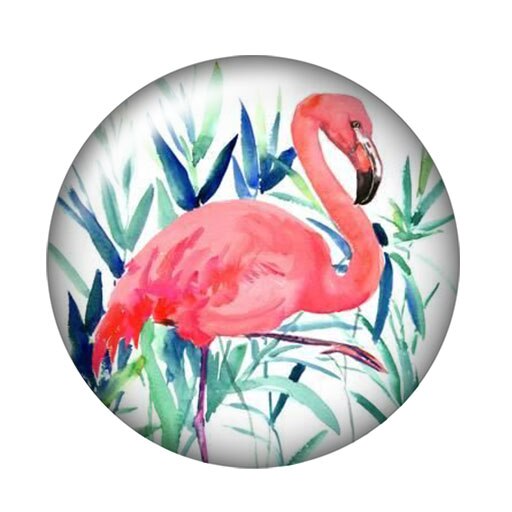 DB0570 Flamingo Vögel trendy 18mm snap tasten 10 stücke mischte runde foto glas cabochon stil für druckknopf schmuck: DB0570-D