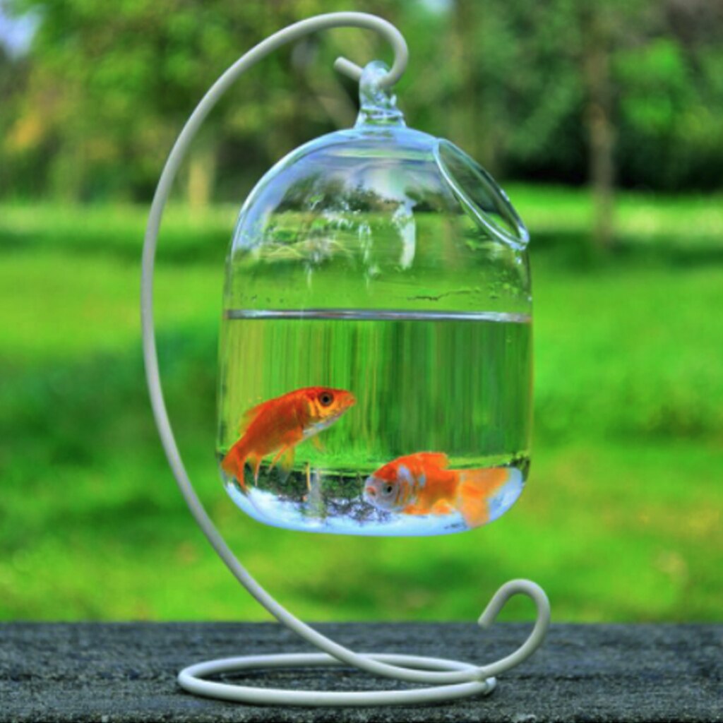 Hängande glas akvarium akvarium fisk skål genomskinlig guldfisk tank växt blomvas flaska för hem skrivbordsinredning