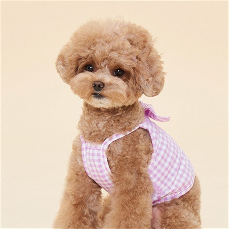 Small Dog Costume Summer Cat Yorkshire Yorkie Skirt Puppy Dog Clothes Chihuahua Pomeranian Poodle Bichon Schnauzer Clothing Vest