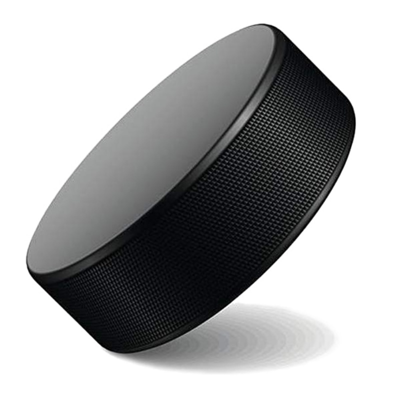 Equipo de deportes, Hockey sobre hielo y Hockey de campo, deporte al aire libre, juego de Hockey sobre hielo, recién llegado