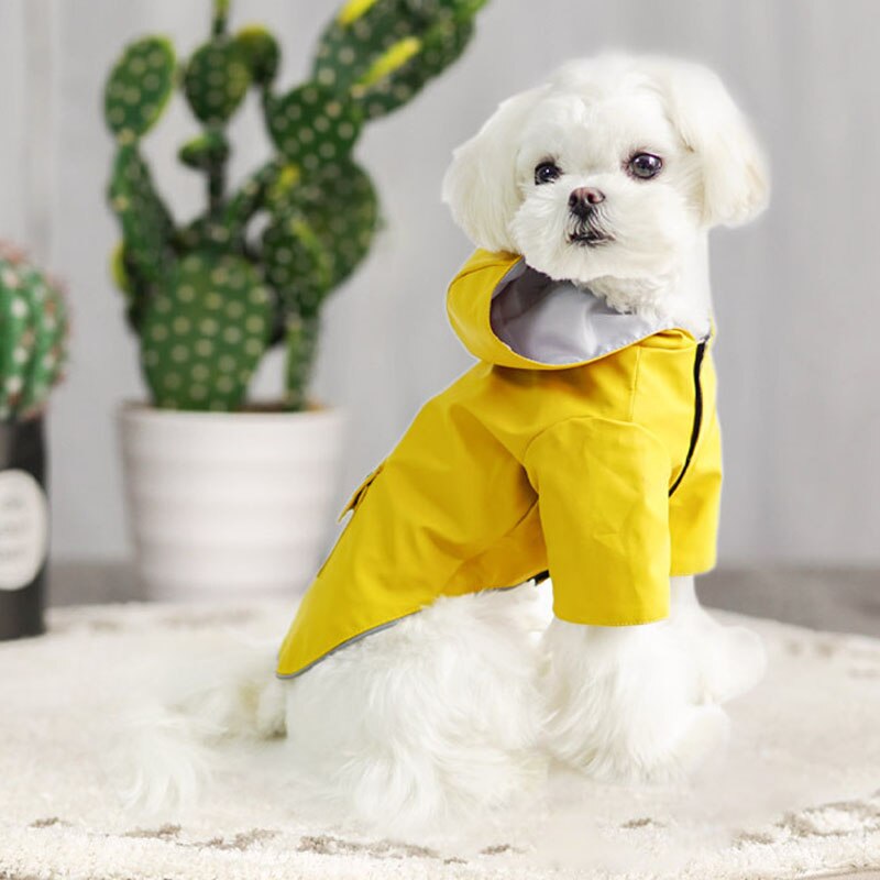 Gul regnjacka för hund med luva reflekterande lätt regnjacka ponchokläder för små stora hundar vattentäta blockerkläder xl