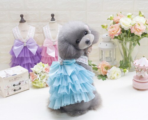 Vêtements pour animaux de compagnie de luxe pour petit chien robe princesse mariage Tutu robe nœud printemps été chien vêtements: Bleu / S