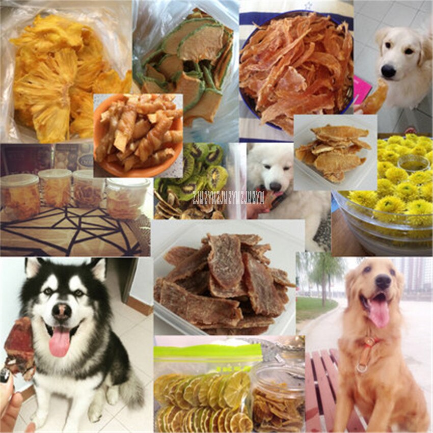 S6 Home electric food meat fruit vegetable herb dehydrator dryer jerky