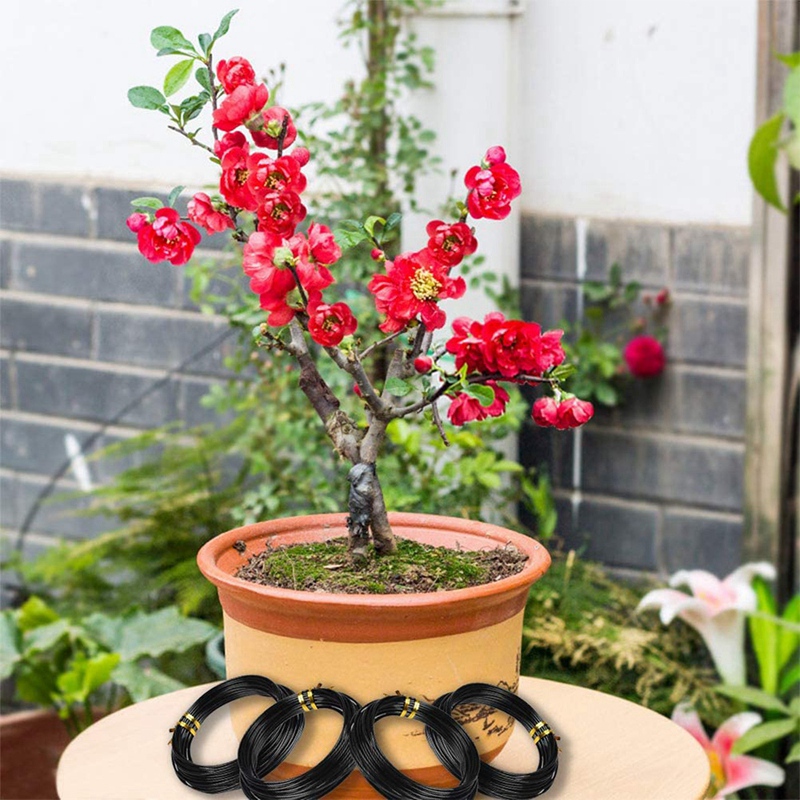 Alambre para bonsái, alambre para entrenamiento de árboles, alambre de aluminio para bonsái con cortador de alambre, herramienta para bonsái para entrenamiento de árboles y manualidades DIY